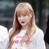 나뮤 출신 금조, 김희철 유기견 발언 저격? "잘못된 인식 바뀌어야" [스타이슈]