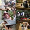 '슬기로운 산촌생활' 99즈 엄마 김해숙 온다..대가족 완성
