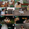 '오늘 무해' 공효진, "더 솔선수범할게"..열정의 탄소제로 도전기[종합]