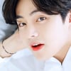 방탄소년단 뷔 ENFP→INFP 공유에 MBTI 서버 다운.."태형이는 PFCT"