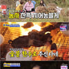 '와카남' 이수영 6300평 텃밭 공개+마이너스 5억 잔고[★밤TView]