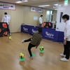 충남아산FC, ‘청소년이 꿈꾸는 행복한 진로’ 진로 페스티벌 성황리에 마쳐
