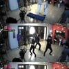 '고디바쇼' 패널 8인, '끼쟁이' 출연자들과 특별한 하루