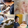 전혜빈, 광어 산채로 떠..서효림 "언니 멋짐"[스타IN★]