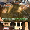 '바달집3' 지창욱, 요리+허당 매력 분출"맛있으면 어떡해" [★밤TV]