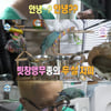 '나혼산' 송민호, 멸종 위기 빗창앵무 공개.."지능 3세?"[별별TV]
