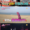'주접이 풍년', 홍자 주접단 출격..이태곤·박미선 감탄 "역대 최강"
