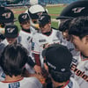 '한화이글스: 클럽하우스' 제작진 "기대되는 선수? 임종찬·하주석"