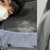안재현, 고양이보다 귀여운 거 실화? '귀염미 뿜뿜~'[스타IN★]