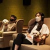 메가박스, 강아지와 함께 영화 보는 세계 최초 '퍼피 시네마' 오픈