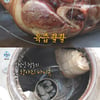 '나혼산' 이장우, 요리에 진심 '독일식 족발 요리'→새집 공개 [★밤TV]