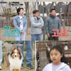 '개훌륭' 강형욱, 11세 김예나 어질리티 훈련에 감탄 "마술사 같다" [별별TV]