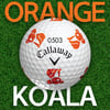 한화생명, The Orange Koala 캠페인 실시