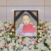 故 강수연, 11일 영결식 생중계..사회 유지태→문소리·설경구 추도사 [★NEWSing]
