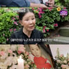 세상 전부를 잃은 故강수연 반려견..대신 키우겠다고 나선 이용녀 [스타이슈]
