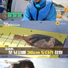 '여행가자' 정동원, 시가 20만원 36cm 도다리 월척 '낚시천재 강태공'[별별TV]