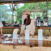 박한별, 커피도 잘 만드는 카페 사장님.."오늘도 열일 중"[스타IN★]