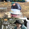 '안다행' 허재→김민수, 농구팀 집안싸움..月 예능 13주째 1위[종합]