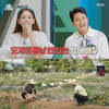 '호적메이트' 김정은, 조준호에 "콩밭 다 갈았다..너무 속상"