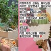 "성형? 했어요" 김은영, 과사 공개하며 깜짝 고백[스타IN★]
