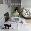 "자꾸 똥 잡숴" '한영♥' 박군, 반려견 경계근무..특전사의 재능기부[스타IN★]