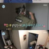 '나혼산' 박나래, 차서원 家 고장 난 초인종에 입으로 "띵동"