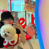 김유지, ♥정준과 결별설 후 밝은 모습 "사랑스러워"[스타IN★]