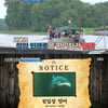 '공생의 법칙2' 배정남, 美 침입성 잉어 전기 충격에 '공포' [★밤TView]