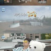 '나혼산' 천정명, 윌슨과 홈캉스 데이트 "윌슨 보고 싶었다"