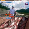 '공생의법칙2' 김병만, 잉어 잡기의 달인→배정남 "전생에 어부?"[별별TV]