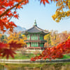[행정척척박사] 11.  10월은 축제의 계절