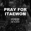 '이태원 참사' K팝 올스톱..YG·안테나·피네이션 "애도 동참"[종합]