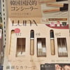애경 루나, 일본 오프라인 진출