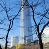'건실한 청년' 영탁, 자작곡 '날개' 홍보요정+콘서트 당일 '조깅'