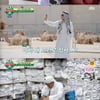 '뭉찬2' 어쩌다벤져스, 역대급 미소년 '에볼루션 유스'에 3:1 승리 [★밤TView]