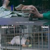 채성욱PD "'보물찾기' 제작비? 내가 했던 프로 중 최고"