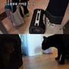 박수홍, ♥23세 아내 이어준 지인과 만남 "아이고 반가워"