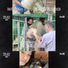 첫방 '캐나다 체크인' 이효리, 이동 봉사完 →유기견과 감동 재회 [★밤TView]