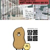 '파이란' 송해성 감독 '바람이전하는말' 연출..땅콩필름 계약