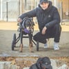 배정남 지극정성에 감동..'급성 디스크' 딛고 혼자 걷는 벨