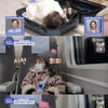 '물 건너온 아빠들' 남아공 父 앤디, 딸 라일라와 첫 서울 여행