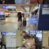 '물 건너온 아빠들' 앤디 딸 라일라, 서울 빌딩에 '깜빡'[별별TV]