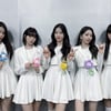 르세라핌, 예능대세