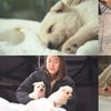 '스브스 복독방', 시고르자브종 등장..평생 함께할 가족 찾기