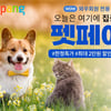 쿠팡, 봄맞이 반려동물용품 판매전 '펫페어' 진행