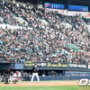 WBC-야간경기 적응 위해... KBO 시범경기 일부 게임 시간 변경 [오피셜]