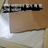 강지섭, JMS 탈퇴 인증..예수 액자 찢었다 "진작 버렸어야" [스타이슈]