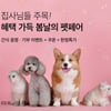 컬리, '봄날의 펫페어' 기획전 개최.."최대 45% 할인에 기부까지"