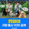 개 귀여운 '멍뭉이', 안방극장으로