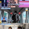 '키 221cm' 하승진 "비즈니스 석도 좁아..창문이 어깨 옆이라 풍경 못 봐"[걸환장]